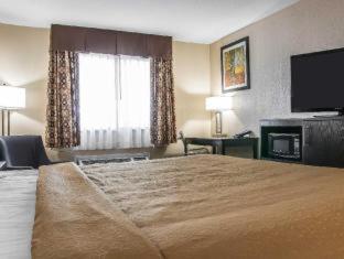 Quality Inn Grand Rapids South-Byron Center Cutlerville Rum bild